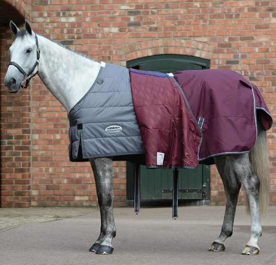 Comfitec Plus Dynamic II Combo Neck Turnout Rug, 220g